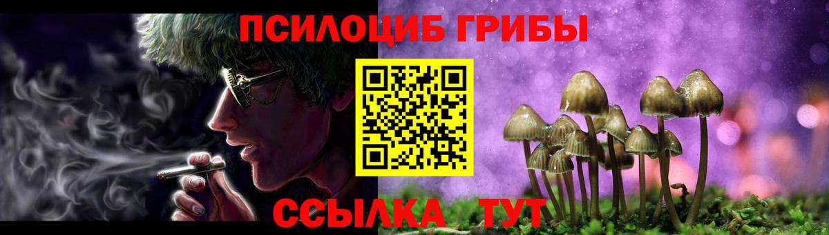 Псилоцибиновые грибы Magic Shrooms  Псилоцибиновые грибы мицелий  Вход с VPN  Торжок 